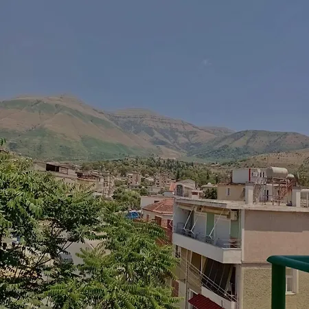 Delvina Penthouse Lejlighed *